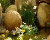 杭州別墅區(qū)庭院石材裝飾案例